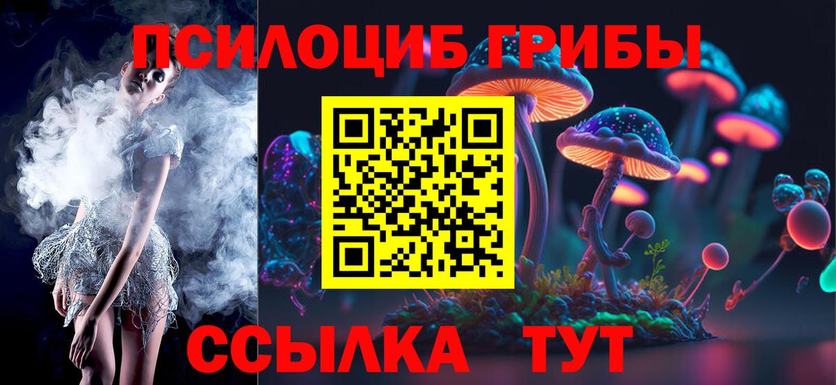 Пугачёв  Галлюциногенные грибы ЛСД  Галлюциногенные грибы Psilocybine cubensis  Вход с VPN 